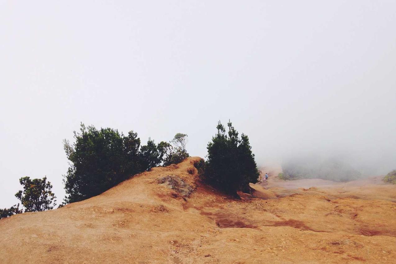 Iste eveniet distinctio cupiditate nihil facere